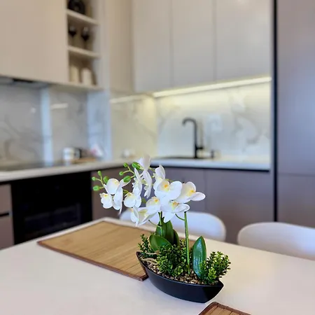 Appartement Tomei